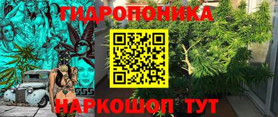 мдпв Нальчик